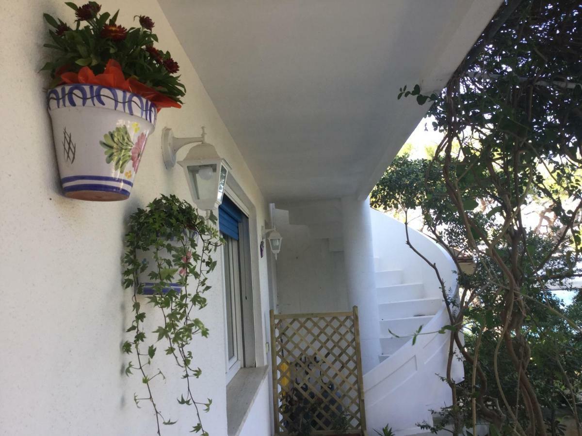 B&B Viadelmare Patu Ngoại thất bức ảnh